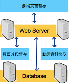 增加 Database Server